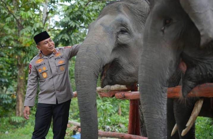 Dukung Inpres Prabowo, Green Policing Polda Riau Siap Jadi Garda Terdepan Penyelamatan Gajah